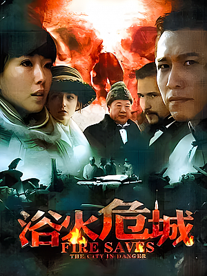 国产剧《浴火危城》2012 2160P 全20集 豆瓣 8.0分【21GB】