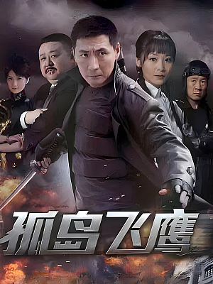 国产剧《孤岛飞鹰》2012 1080P 全40集 豆瓣 6.8分【173GB】