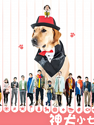 国产剧《神犬小七 第一部》2015 1080P 全40集 豆瓣 7.0分【78GB】
