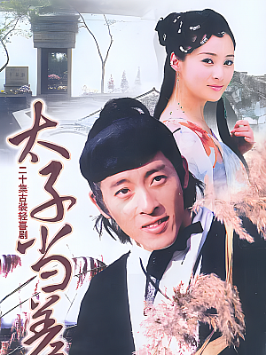 国产剧《太子当差》1998 DVD 全20集 豆瓣 8.2分【59GB】