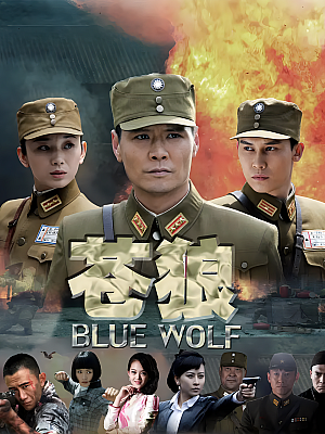 国产剧《苍狼》2013 2160P 全36集 豆瓣 5.2分【134GB】