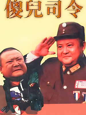 国产剧《傻儿司令》2003 DVD 全25集 豆瓣 8.1分【13GB】
