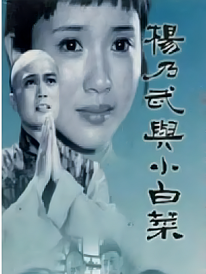 国产剧《杨乃武与小白菜》1990 1080P 全14集 豆瓣 7.2分【20GB】