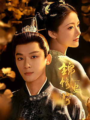 国产剧《锦绣安宁》2024 2160P 全40集 豆瓣 5.8分【88GB】