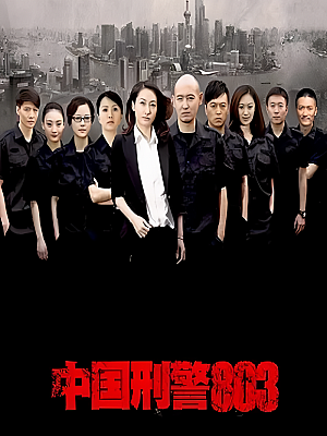 国产剧《中国刑警803》2014 1080P 全10集 豆瓣 6.3分【19GB】