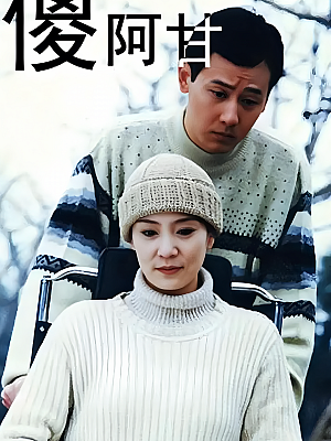 国产剧《傻阿甘》1995 720P 全26集 豆瓣 7.8分【28GB】