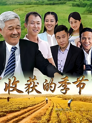 国产剧《收获的季节》2014 2160P 全38集 豆瓣 7.1分【138GB】