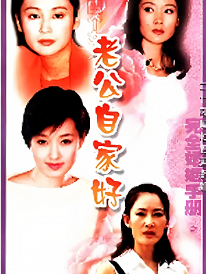 国产剧《完全婚姻手册》2000 720P 全24集 豆瓣 7.8分【35GB】