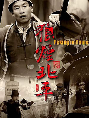 国产剧《狼烟北平》2009 1080P 全41集 豆瓣 8.5分【25GB】