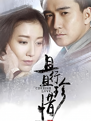 国产剧《且行且珍惜》2015 2160P 全38集 豆瓣 5.5分【44GB】