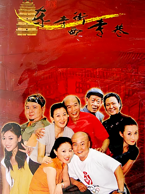 国产剧《东寺街西寺巷》2003 1080P 全52集 豆瓣 9.1分【201GB】