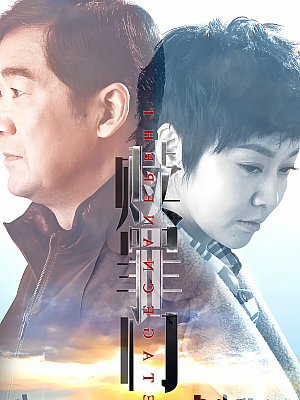 国产剧《爱的追踪》2016 1080P 全36集 豆瓣 6.9分【20GB】