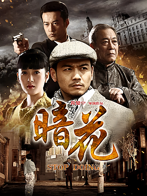 国产剧《暗花》2012 1080P 全30集 豆瓣 5.8分【30GB】