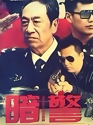 国产剧《暗警》2013 1080P 全35集 豆瓣 6.0分【24GB】