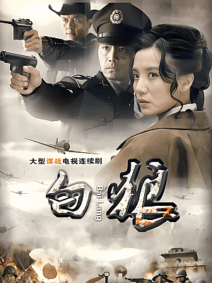 国产剧《白狼》2010 1080P 全30集 豆瓣 6.4分【24GB】