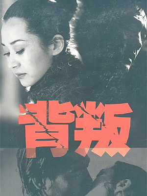 国产剧《背叛》2000 DVD 全20集 豆瓣 7.9分【6GB】