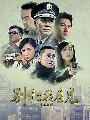 国产剧《别让我看见》2015 1080P 全37集 豆瓣 6.5分【25GB】