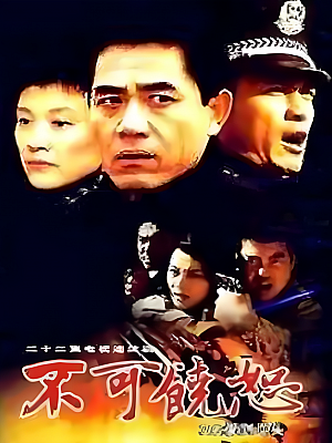 国产剧《不可饶恕》2002 DVD 全22集【5GB】