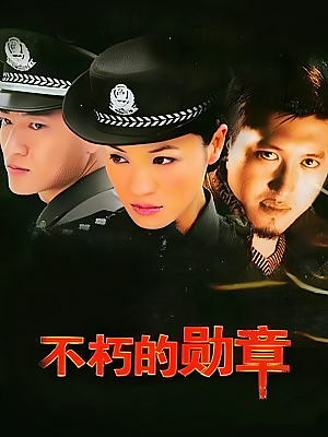 国产剧《不朽的勋章》2003 DVD 全20集【11GB】