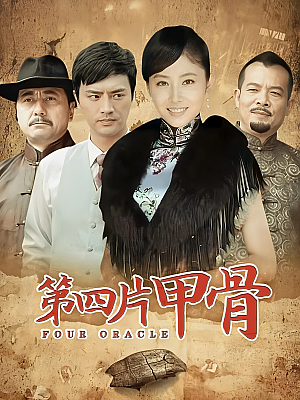 国产剧《第四片甲骨》2011 2160P 全30集 豆瓣 7.2分【28GB】