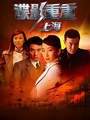 国产剧《谍影重重之上海》2009 DVD 全28集 豆瓣 7.0分【5GB】