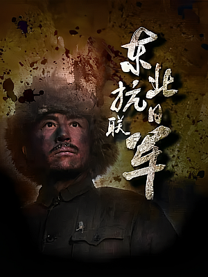 国产剧《东北抗日联军》2015 1080P 全46集 豆瓣 7.7分【58GB】