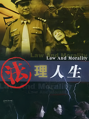 国产剧《法理人生》2003 DVD 全20集 【10GB】
