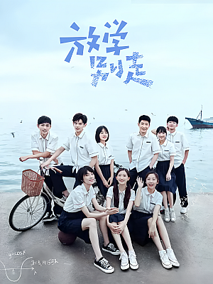 国产剧《放学别走》2021 2160P 全24集 豆瓣 6.5分【26GB】