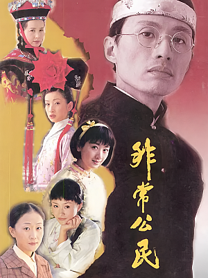 国产剧《非常公民》2002 DVD 全30集 豆瓣 8.8分【10GB】