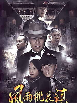 国产剧《风雨桃花镇》2011 1080P 全36集 豆瓣 6.1分【40GB】