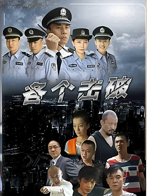 国产剧《各个击破》2014 1080P 全28集 豆瓣 6.5分【26GB】