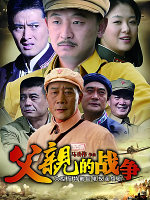 国产剧《父亲的战争》2008 DVD 全30集 豆瓣 6.4分【8GB】