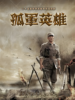 国产剧《孤军英雄》2012 DVD 全34集 豆瓣 7.6分【6GB】