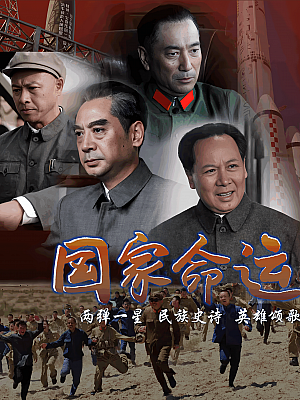 国产剧《国家命运》2012 1080P 全29集 豆瓣 8.6分【19GB】