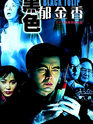 国产剧《黑色郁金香》2004 DVD 全25集 豆瓣 8.0分【6GB】