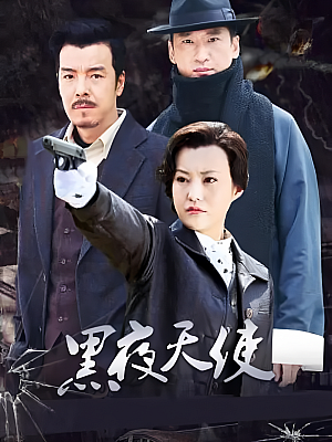 国产剧《黑夜天使》2012 1080P 全24集 豆瓣 6.9分【18GB】