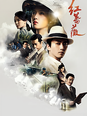 国产剧《红蔷薇》2017 DVD 全48集 豆瓣 6.8分【13GB】