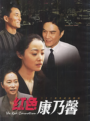 国产剧《红色康乃馨》2000 DVD 全22集 豆瓣 7.3分【8GB】