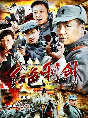 国产剧《红色利剑》2011 1080P 全30集 豆瓣 7.1分【23GB】