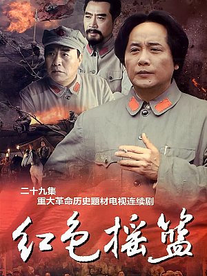 国产剧《红色摇篮》2010 DVD 全29集 豆瓣 8.4分【13GB】