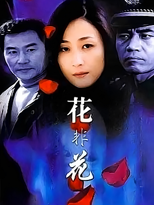 国产剧《花非花》2002 DVD 全21集 豆瓣 8.4分【6GB】