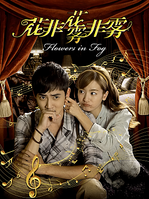 国产剧《花非花雾非雾》2013 DVD 全54集 豆瓣 5.6分【18GB】