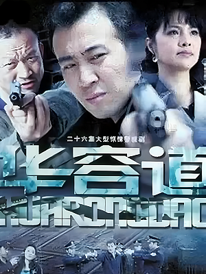 国产剧《华容道》2007 DVD 全26集 豆瓣 6.9分【13GB】