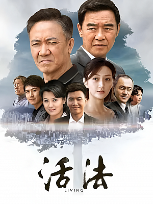 国产剧《活法》2015 1080P 全28集 豆瓣 5.4分【29GB】