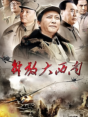 国产剧《解放大西南》2010 720P 全30集 豆瓣 7.6分【11GB】
