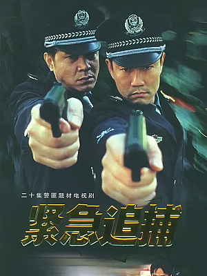 国产剧《紧急追捕》2001 DVD 全20集 【6GB】