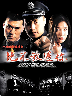 国产剧《绝不放过你》2002 DVD 全25集 豆瓣 8.3分【4GB】
