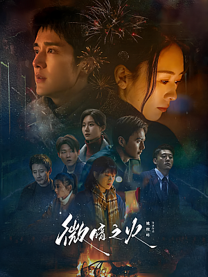 国产剧《微暗之火》2024 2160P 全28集 豆瓣 7.1分【211GB】