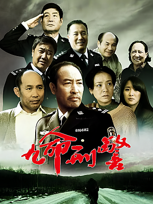国产剧《九命刑警》2013 1080P 全30集 【21GB】