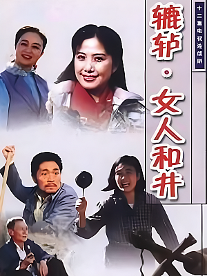 国产剧《辘轳·女人和井》1991 DVD 全12集 豆瓣 7.4分【4GB】